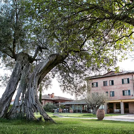 Poggioleone