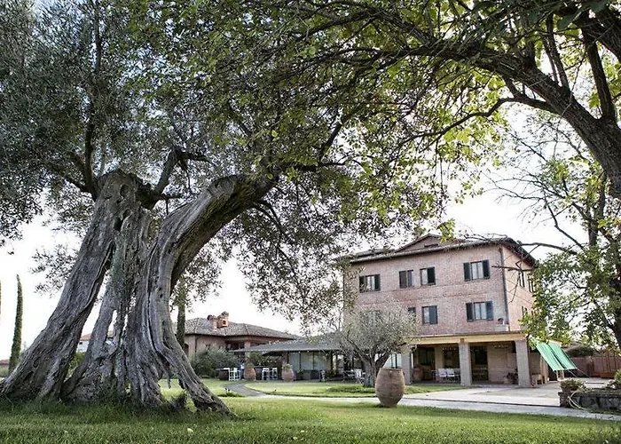 Poggioleone Castiglione del Lago